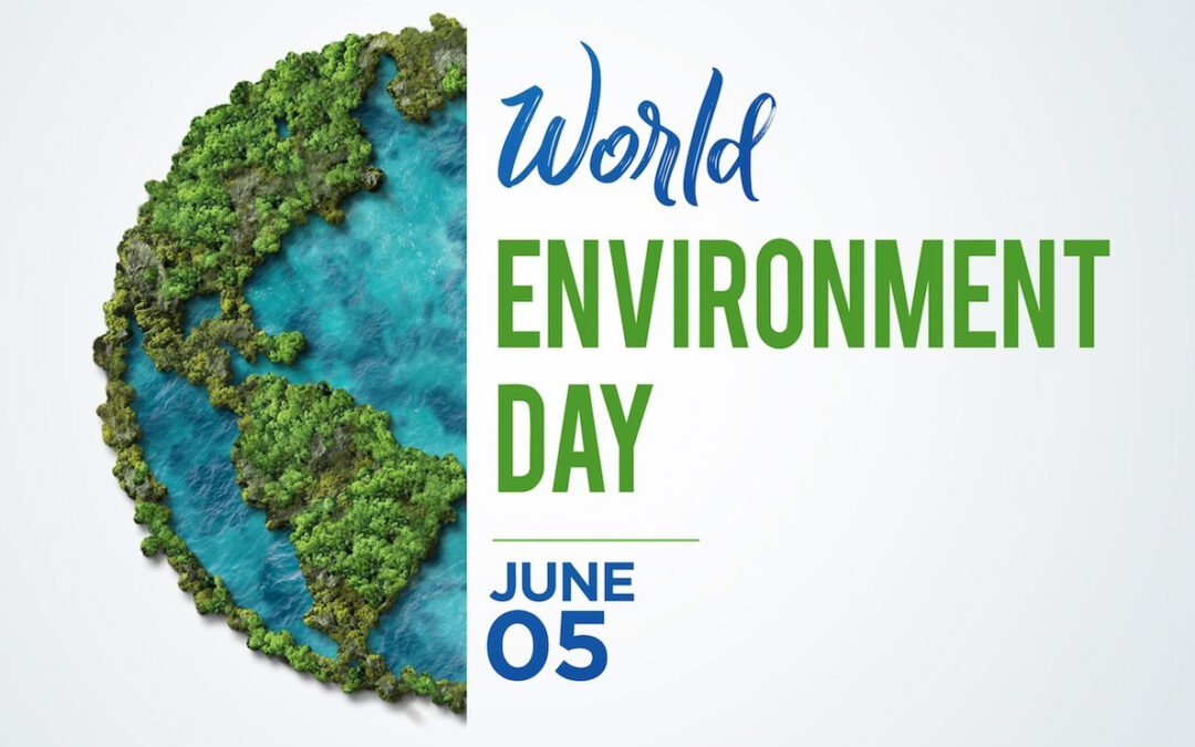 At Alimos Marina, sustainability is a way of life